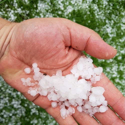 a hand full of hailstones