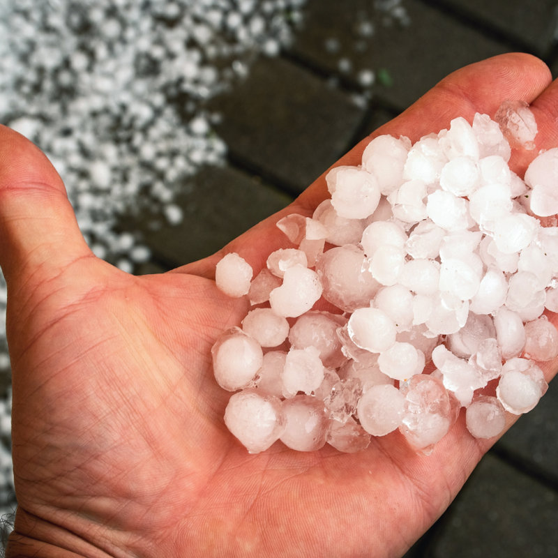 small hailstones being held over a shingle roof