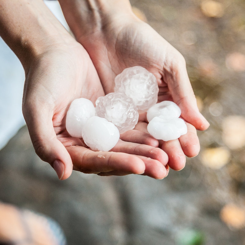 woman's hands holding large hailstones