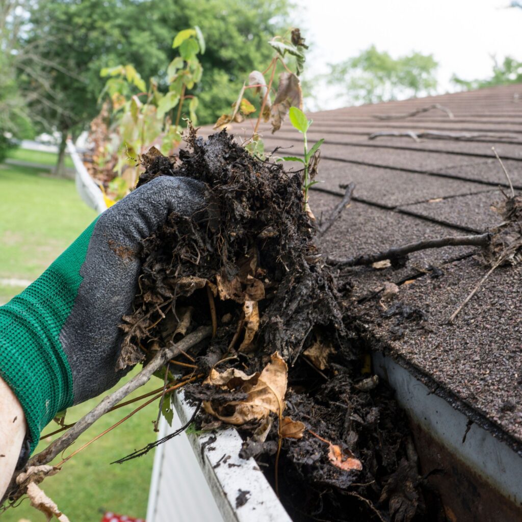 gloved hand clearing leaves and dirt from gutters